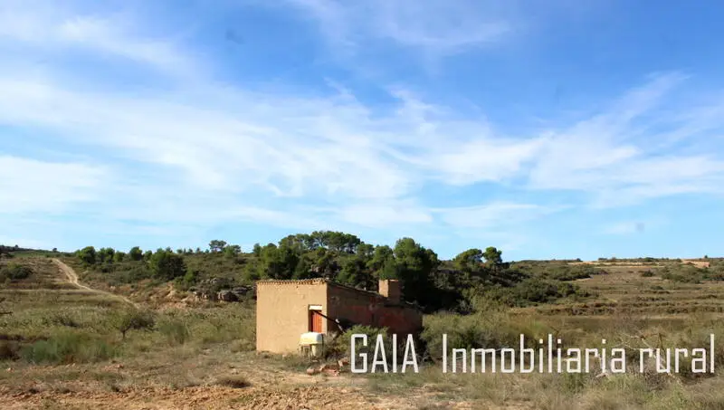 Casa de Campo en Maella con Terreno de Almendros