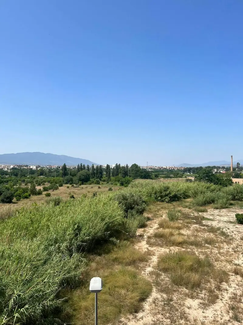 Alquiler Piso 2 Dormitorios Murcia La Ñora
