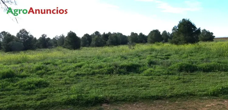 Venta  de Finca de recreo en Ciudad Real