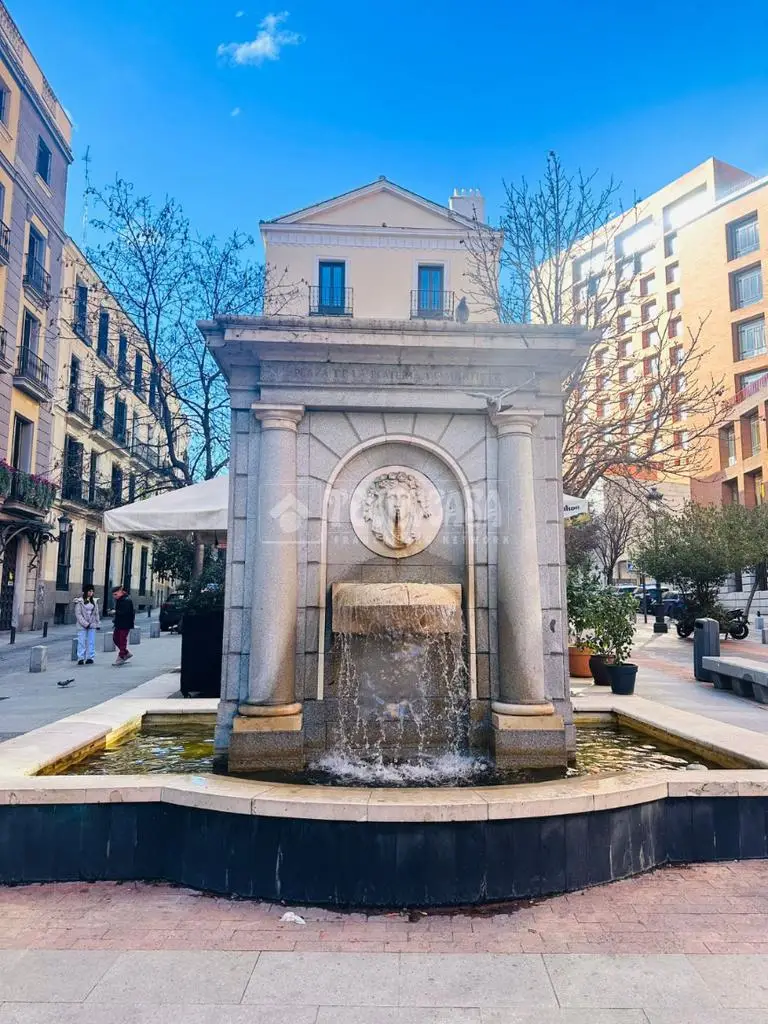 Local Comercial 265m² Centro Madrid