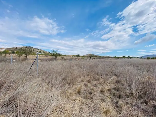 Chalet en Venta Jumilla 3 Dormitorios 2 Baños Piscina