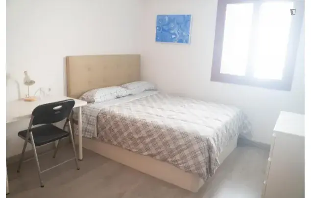 Habitacion Individual Palma Centro Estudiantes Profesionales