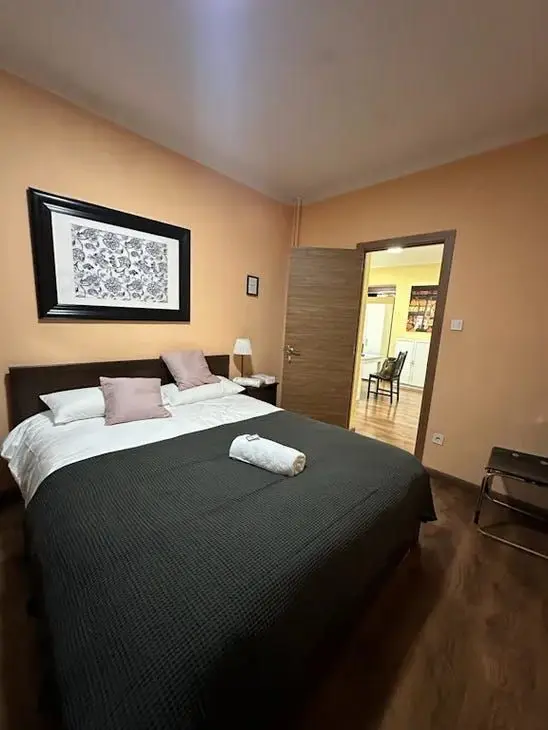 Apartamento en Alquiler Madrid Calle Toledo
