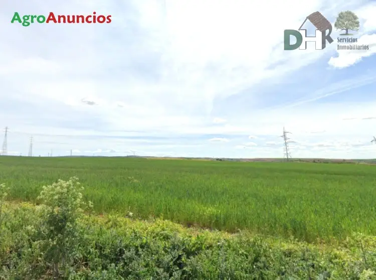 Venta  de Finca de regadío en Salamanca