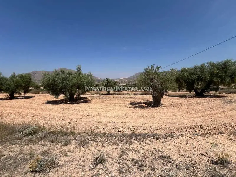 Parcelas Rusticas en Venta Orihuela Barbarroja Vistas a la Montana
