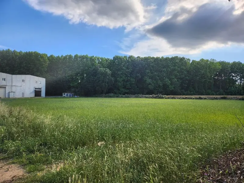 Venta Parcela Industrial y Residencial en Massanes