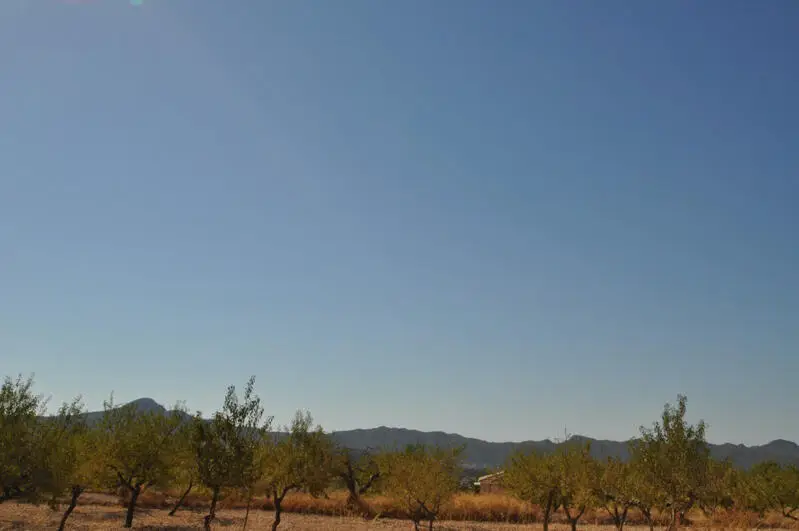 Parcela Urbanizable 5000m2 Macisvenda Vistas Despejadas