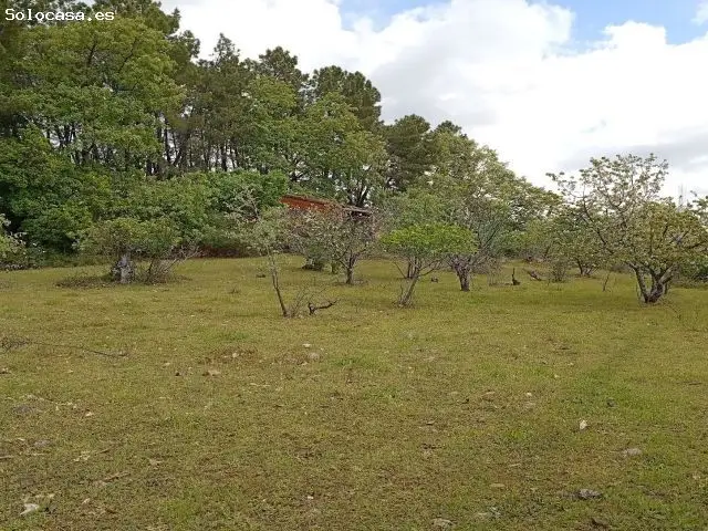 Finca Rustica en Villanueva de la Vera con Casa de Piedra