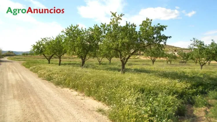 Venta  de Finca de recreo en Zaragoza