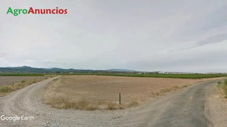 Venta  de Terreno agrícola de regadío en La Rioja