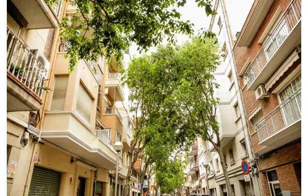 Alquiler Apartamento 4 Dormitorios Collblanc L Hospitalet