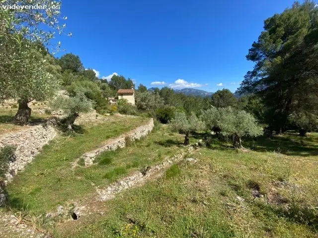 Casa Rústica con Vistas Panorámicas en Puigpunyent