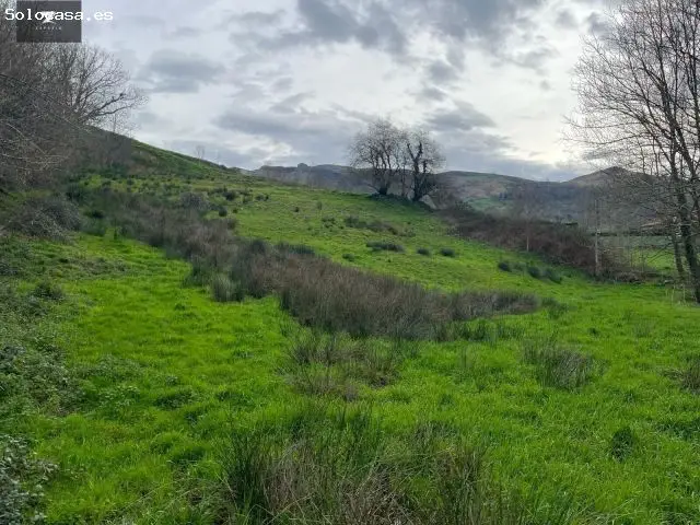 Terreno Urbanizable 2455m2 en LLerana