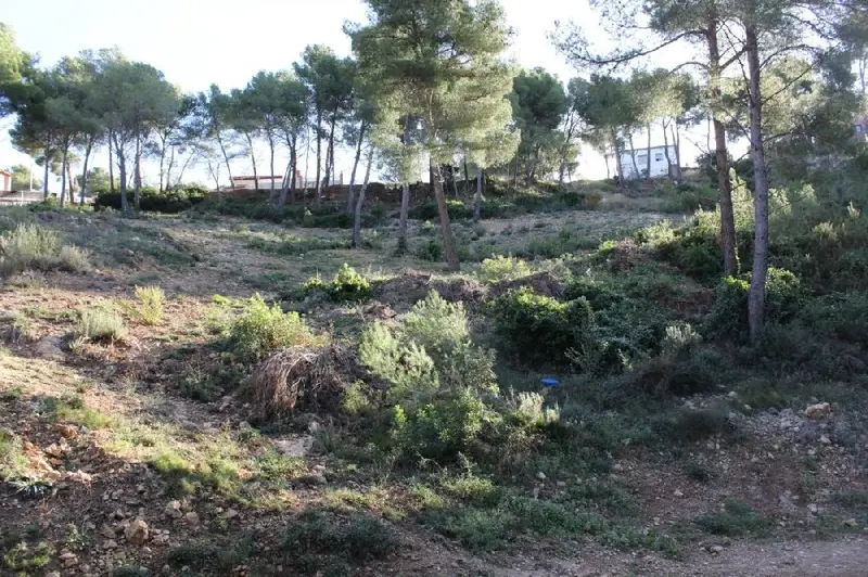Venta Parcela 496m2 Las Palmeras Canyelles Cerca de Playas