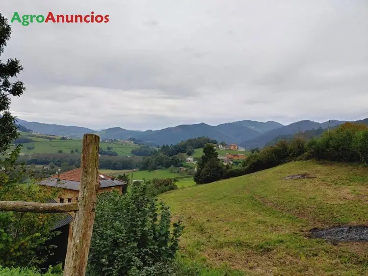 Venta  de Finca de recreo en Asturias