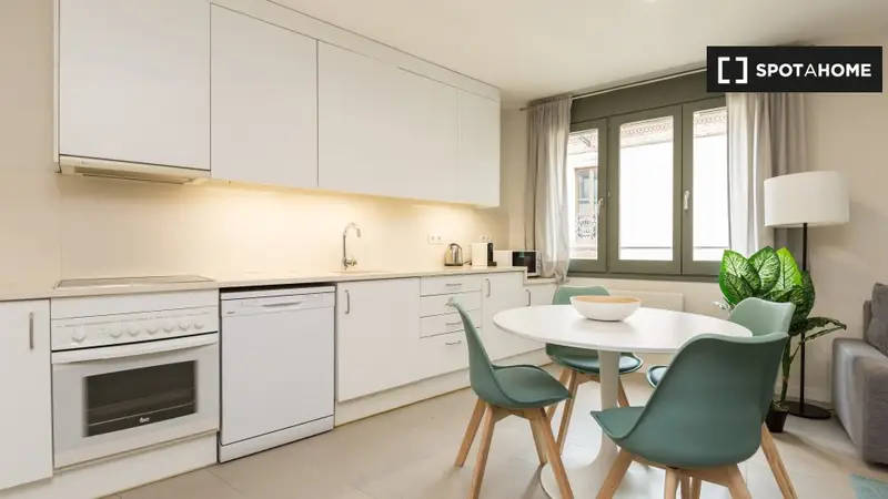 Apartamento 1 Dormitorio Eixample Barcelona