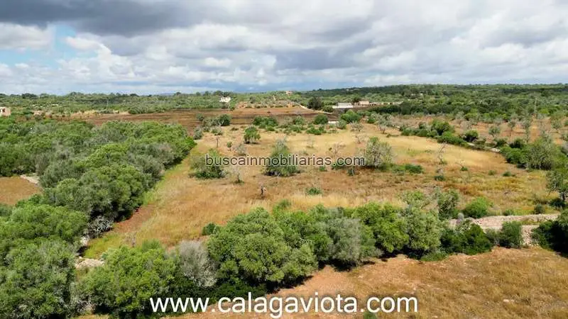 Parcela Rustica en Venta Ses Salines 15000m2