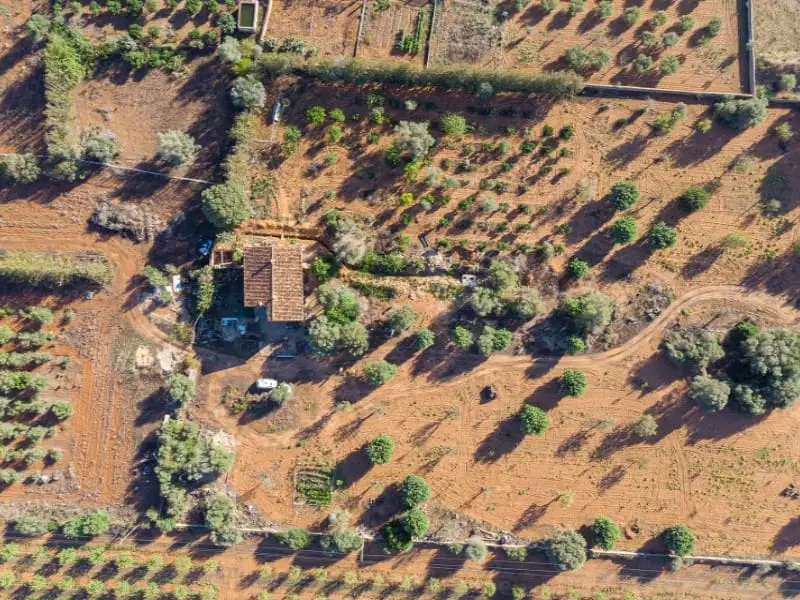 Finca Rustica en Consell Mallorca con Pozo y Vistas a la Montana