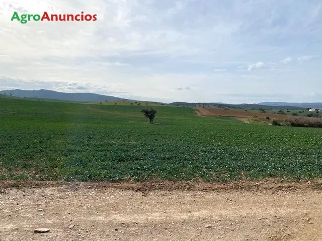 Venta  de Finca rústica en Badajoz