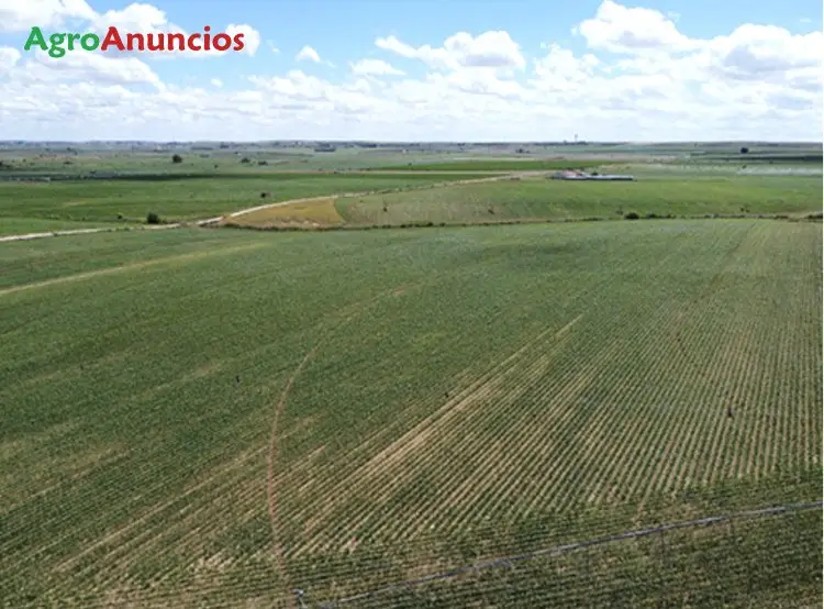 Demanda  de Terreno de secano en Córdoba