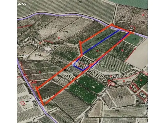 Terreno Urbanizable en Monforte del Cid Zona Espejeras
