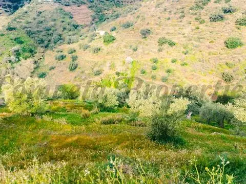 Terreno en Venta Competa Vistas al Mar