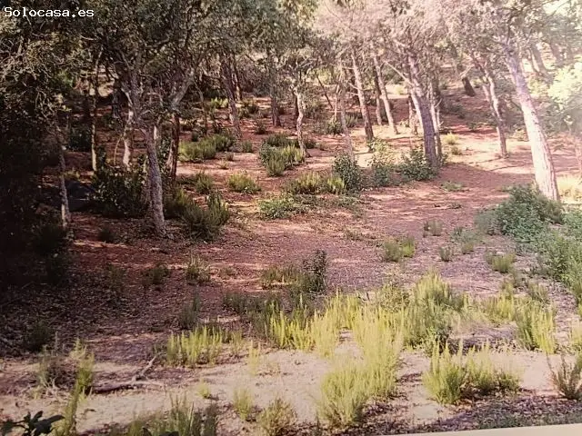 Parcela en Venta Lloret de Mar Serra Brava Costa Brava
