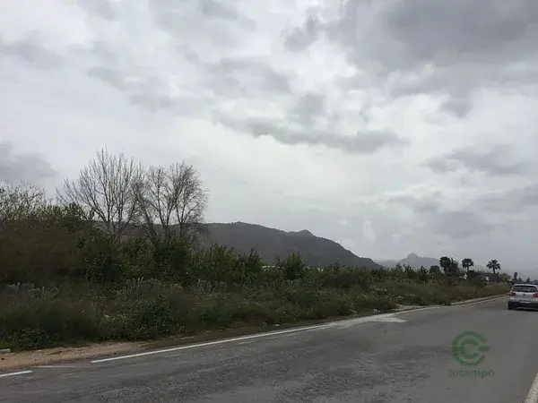 Parcela Rustica con Limoneros en Alquerias Murcia