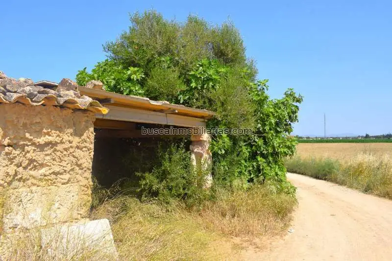 Parcela Rustica en Venta Sa Pobla 6295m2