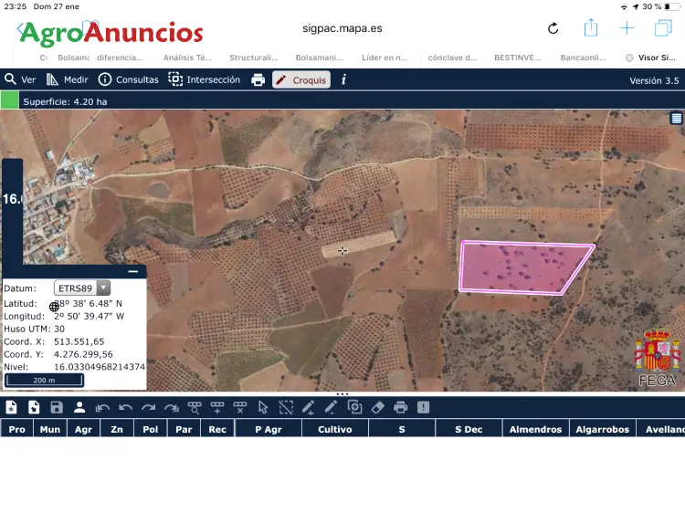 Venta de Finca de Olivar en Ciudad Real