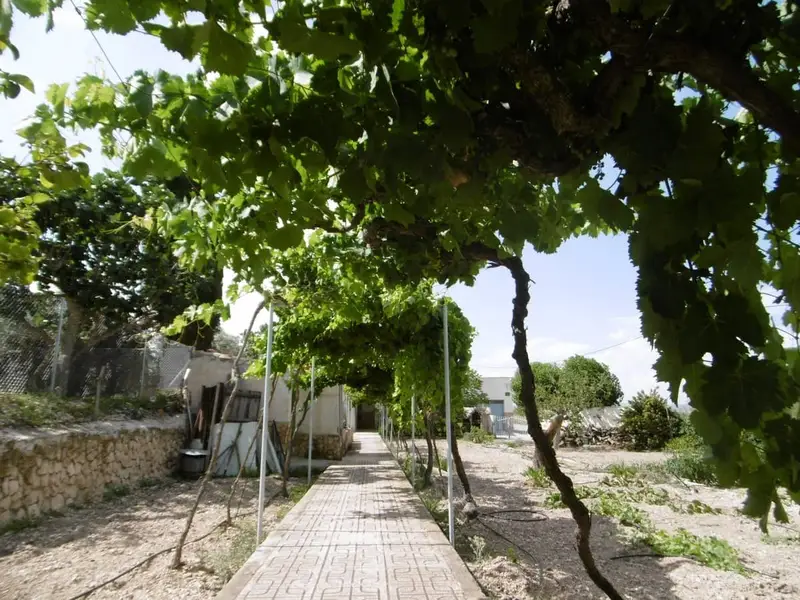 Chalet Rustico con Piscina en Yecla Murcia
