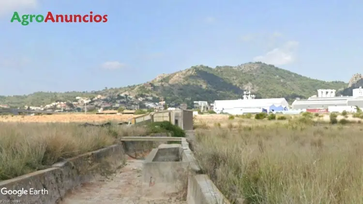 Venta  de Finca con almacén en Castellón