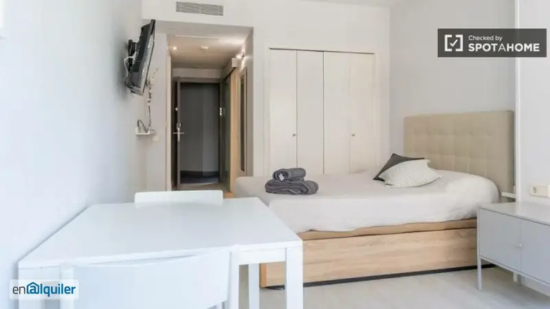Apartamento Estudio Moderno en Madrid Centro