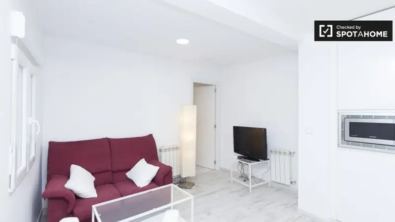 Apartamento 1 Dormitorio 1 Baño Madrid
