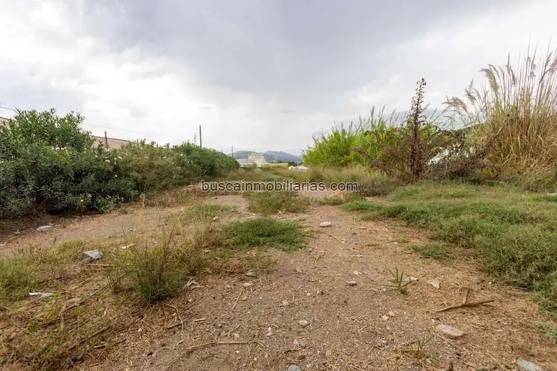 Parcela Rustica Riego Motril Cultivo Subtropicales Hortalizas