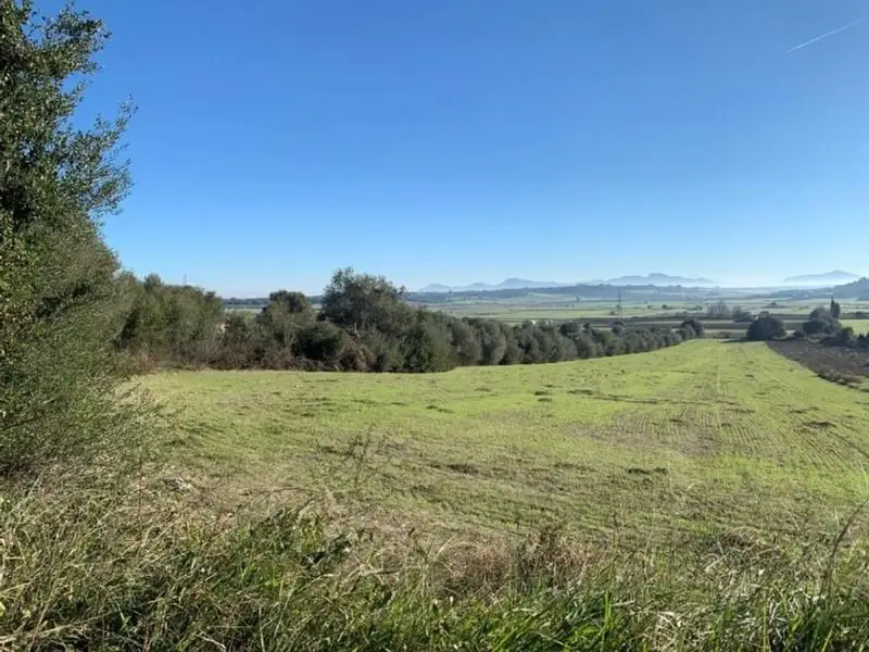 Finca Rustica con Vistas Espectaculares en Muro Baleares