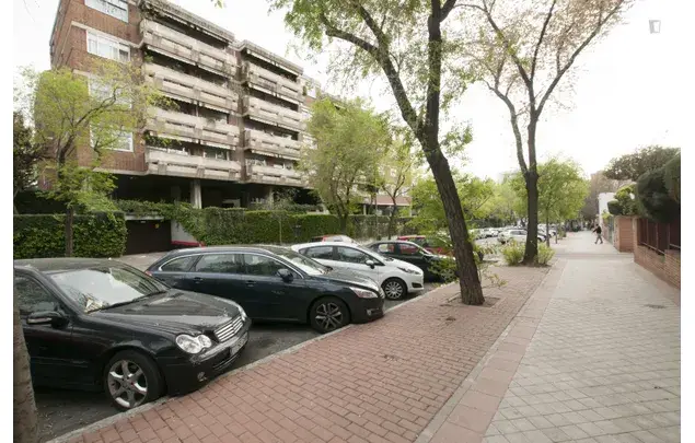 Alquiler Apartamento 5 Dormitorios Madrid Estudiantes