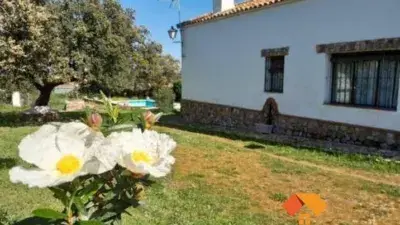 Finca rústica en venta en Calamonte