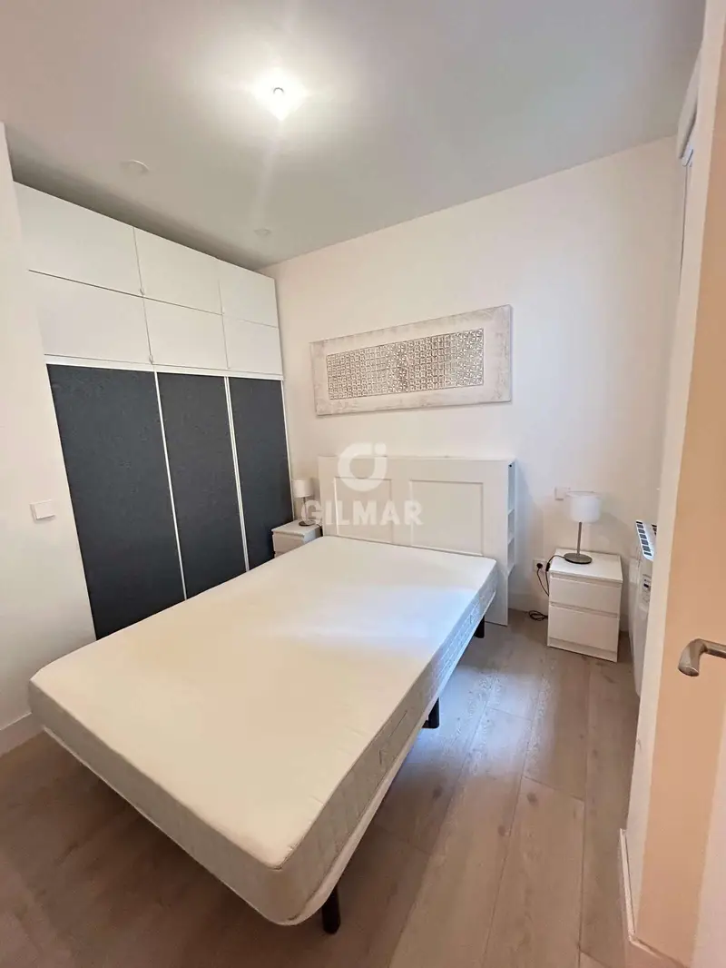 Apartamento en Alquiler Puerta del Angel Madrid