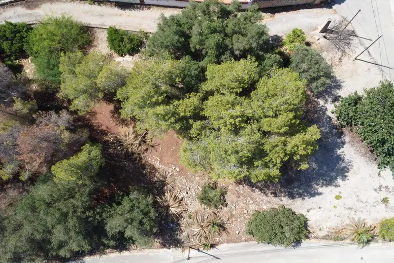 Terreno en Venta Denia 3034m2 Desarrollo Residencial