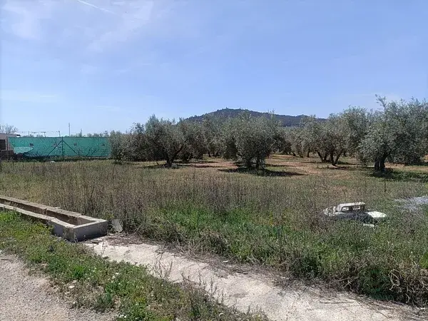 4 Parcelas Rusticas con Olivos en Albolote