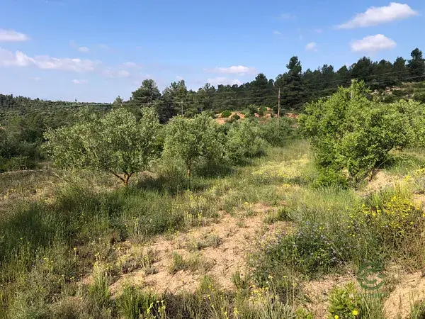 Finca Agricola con Casa de Campo en Els Guiamets Priorat