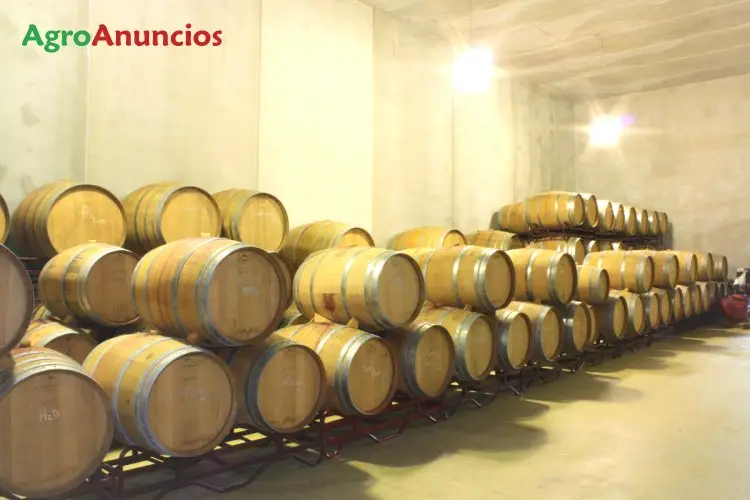 Venta  de Finca con viñedo y bodega en el priorat en Tarragona