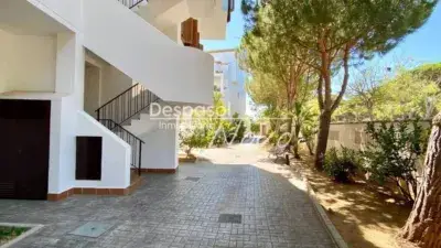 Apartamento en Alquiler Calle de Maracaibo