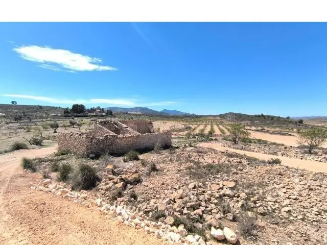 Finca Rustica en Pinoso Alicante para Reformar