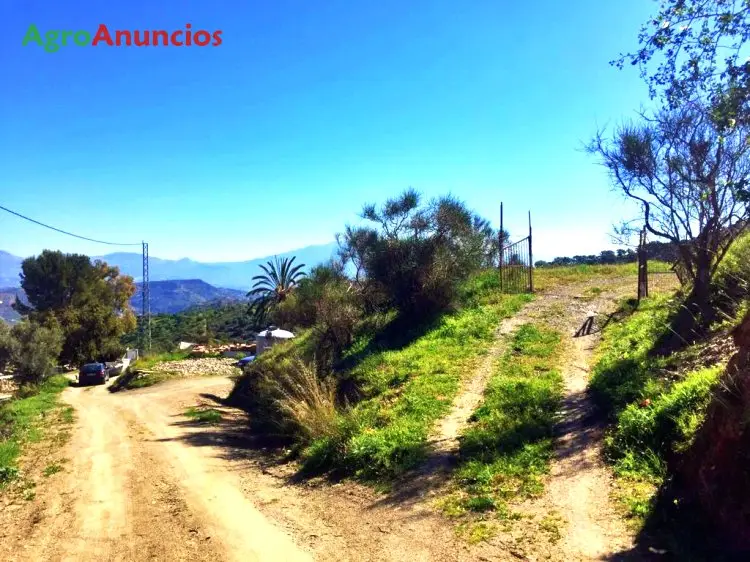 Venta  de Finca agrícola en Málaga