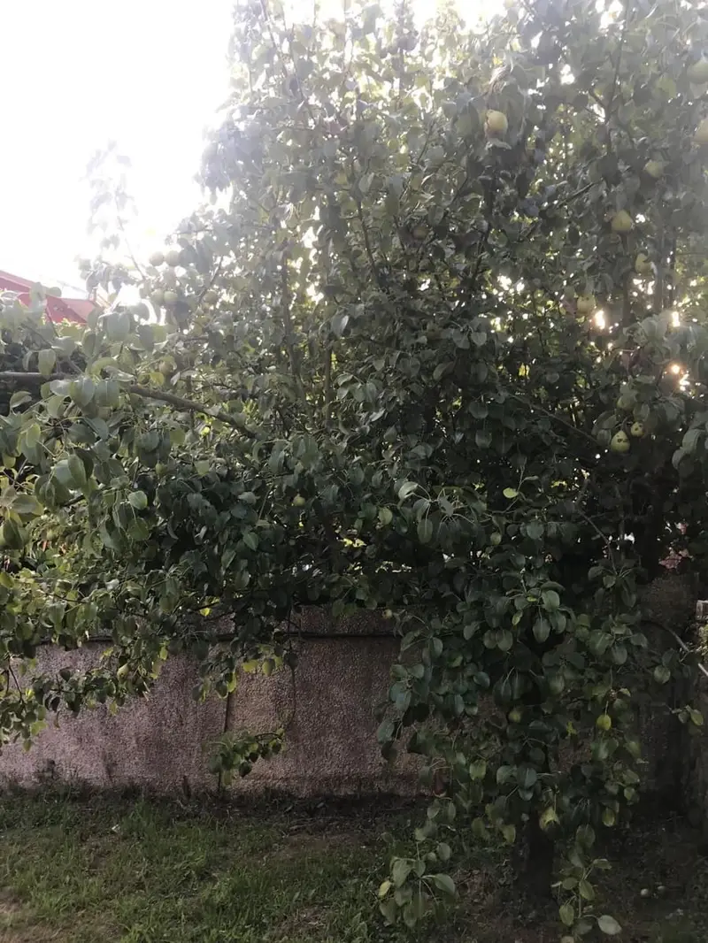 Chalet con dos viviendas en San Pedro de Nós Oleiros A Coruña