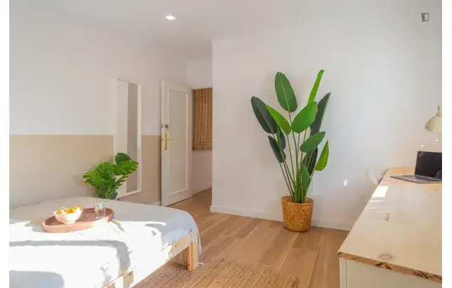 Apartamento 7 Dormitorios Gran Via Barcelona
