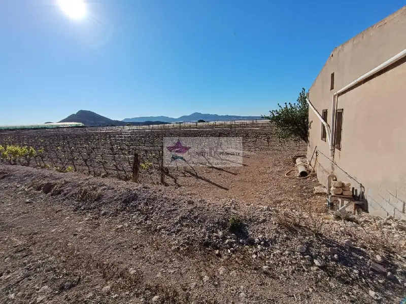Venta Finca Rustica 1 Dormitorio Monforte del Cid