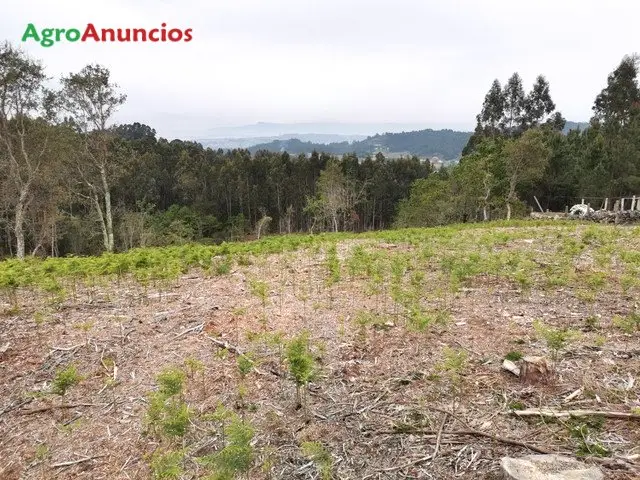 Venta  de Finca rústica no edificable en Pontevedra